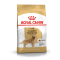 Royal Canin Golden Retriever Adult – Hrană Uscată pentru Câini Adulți din Rasa Golden Retriever – 12 kg